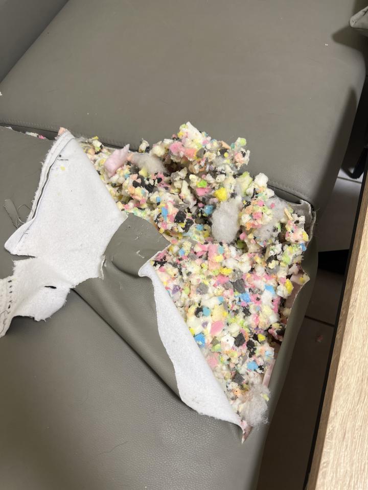 沙發修理案件圖片