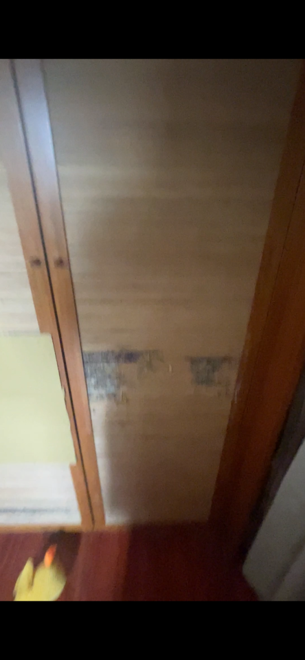 木工施工案件圖片