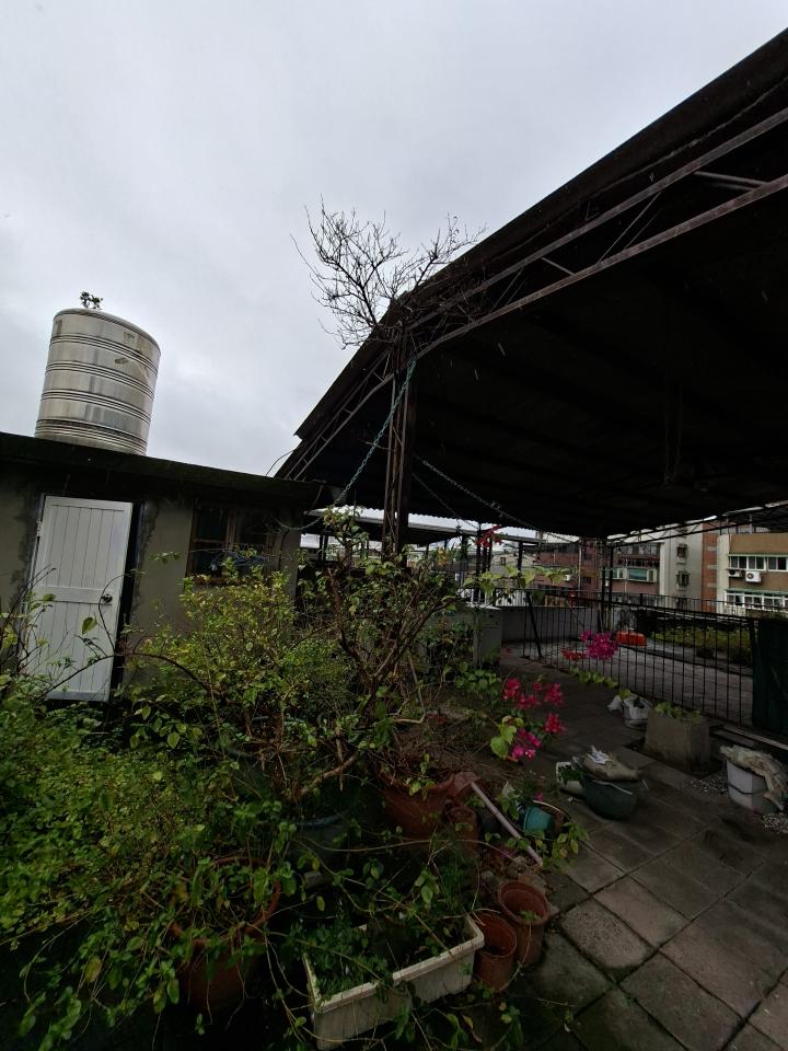 園藝維護案件圖片