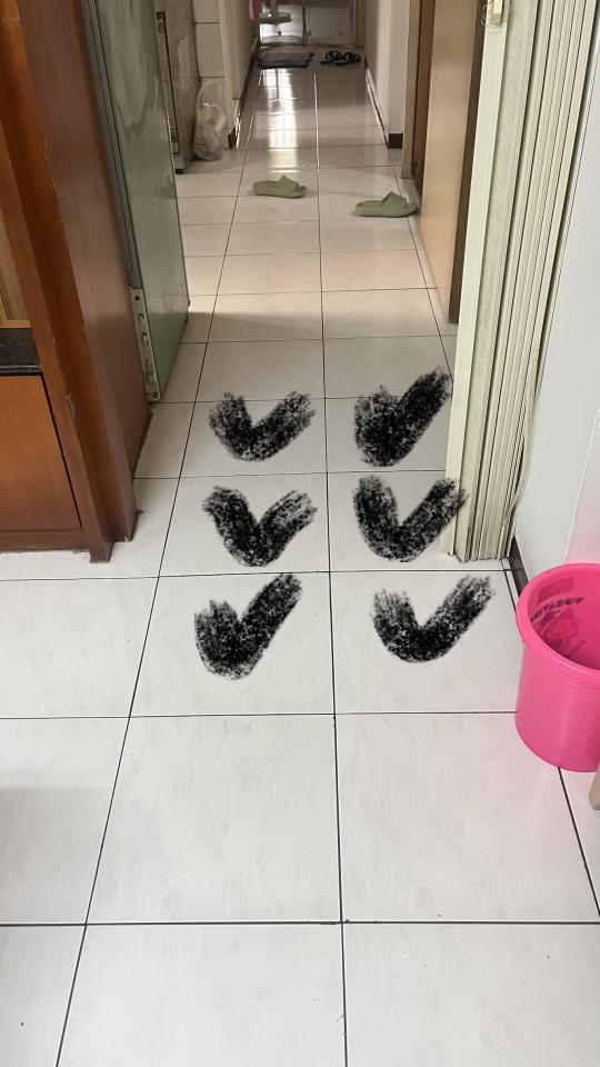 磁磚修補案件圖片