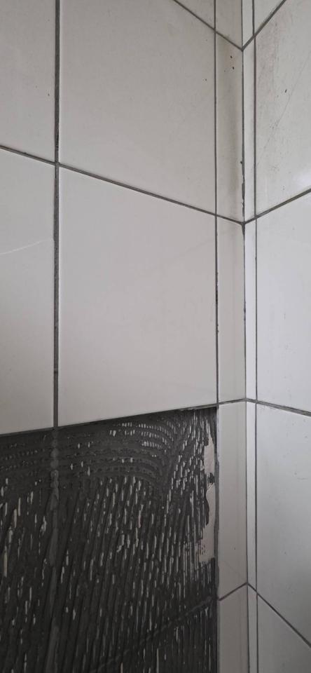 磁磚修補案件圖片