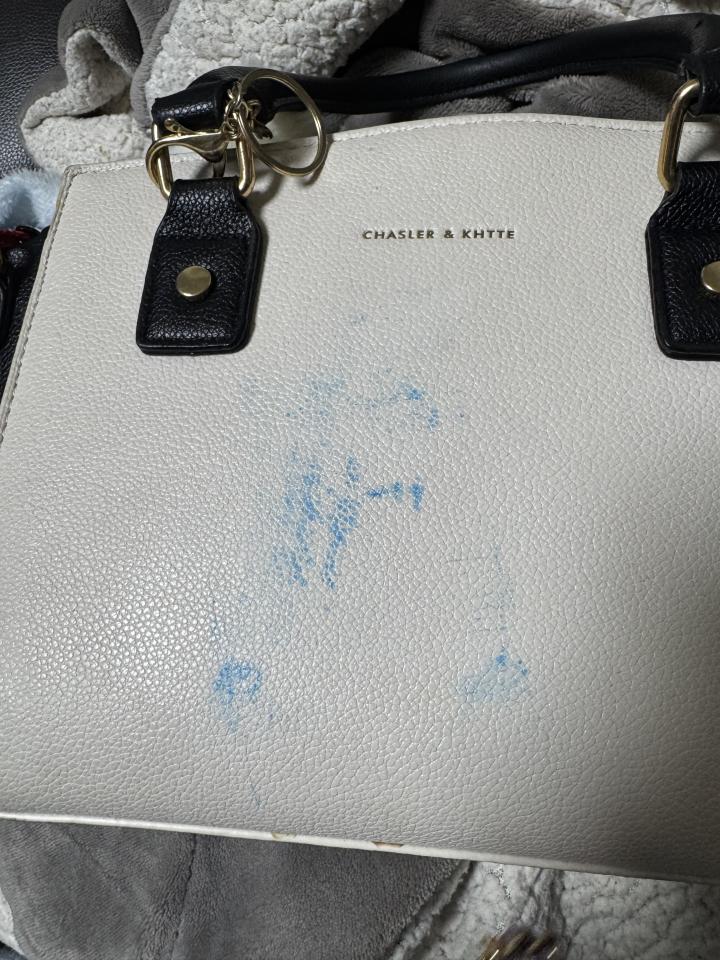 洗包包案件圖片