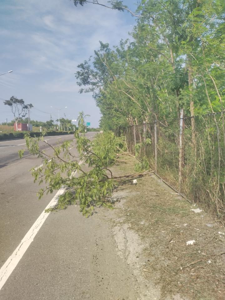 園藝維護案件圖片