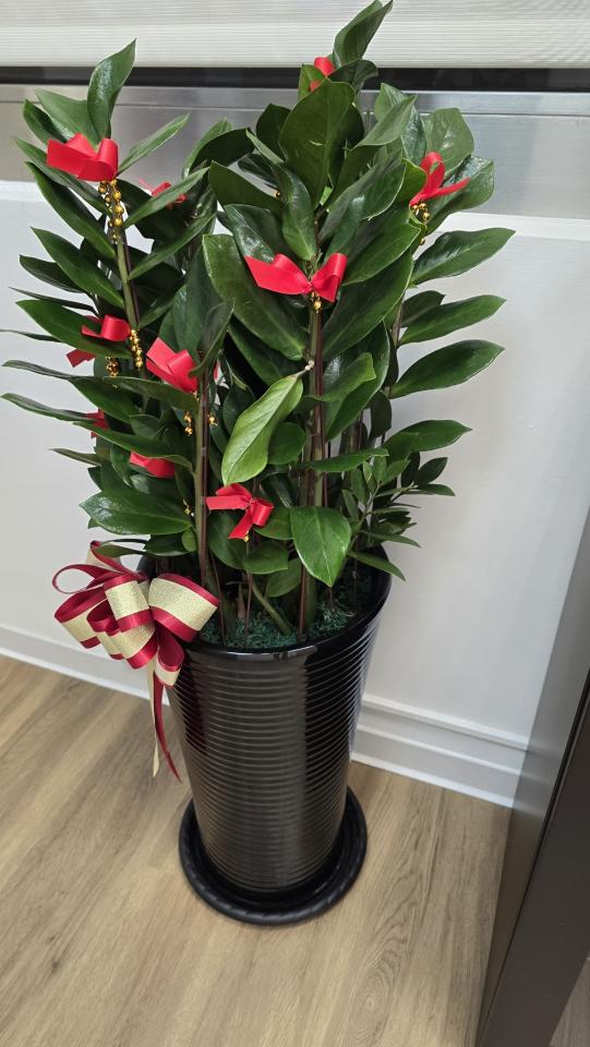 家具搬運案件圖片