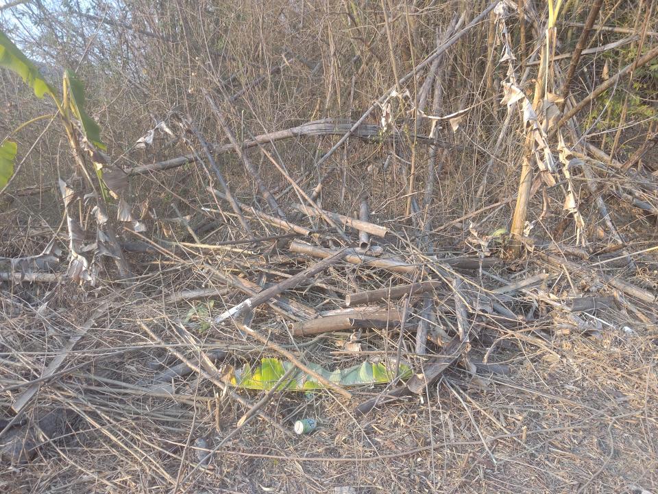 大型垃圾回收案件圖片