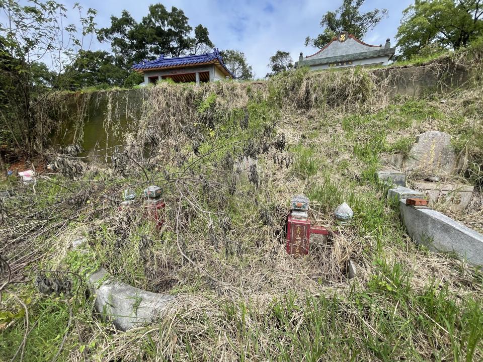 園藝維護案件圖片