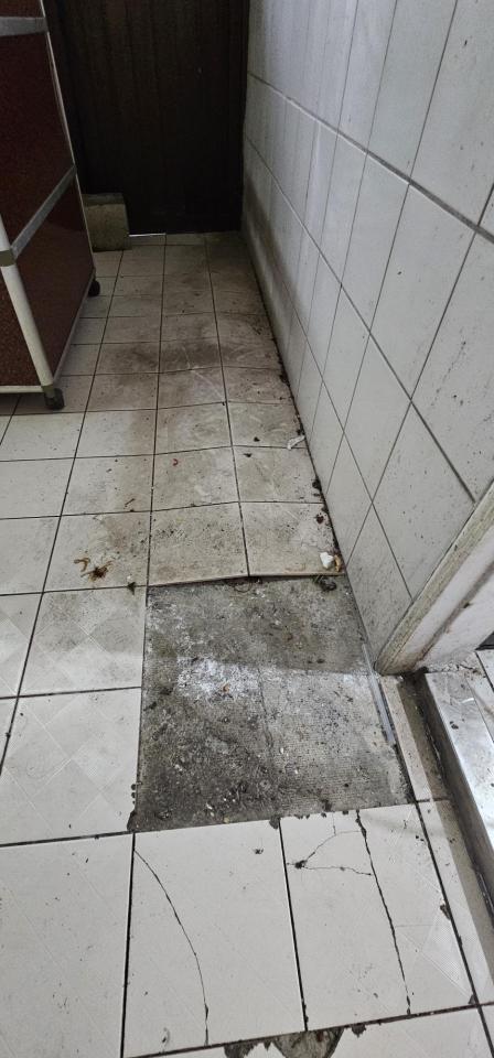 磁磚修補案件圖片