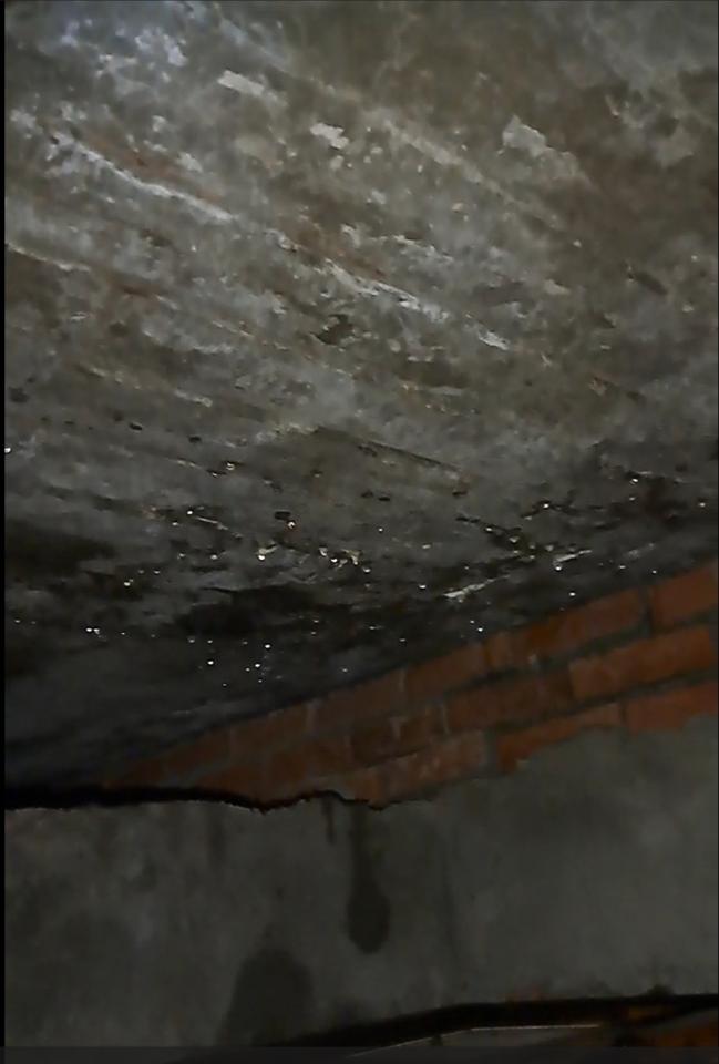 漏水處理案件圖片