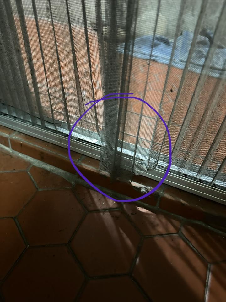 紗窗裝修案件圖片