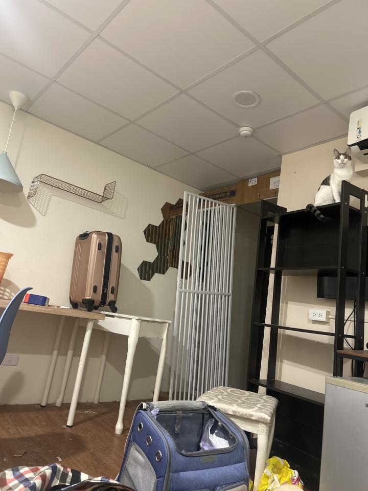 大型垃圾回收案件圖片