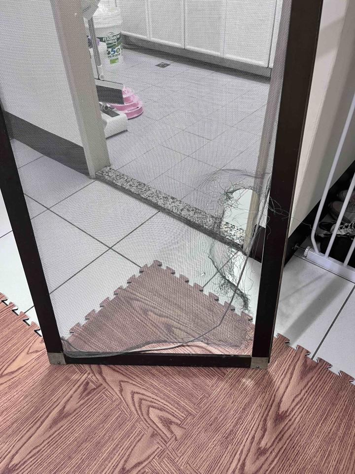 紗窗裝修案件圖片
