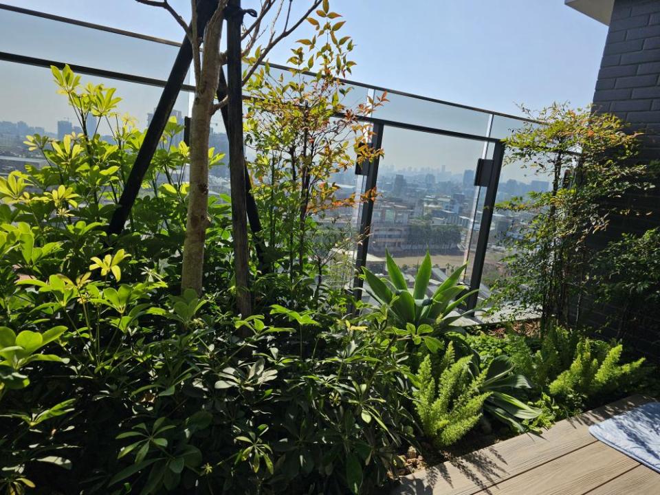 園藝設計案件圖片