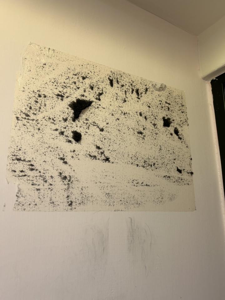 壁紙清除案件圖片