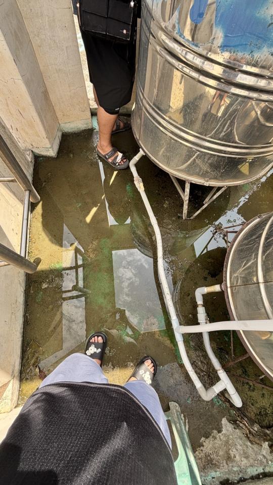 屋頂防水案件圖片