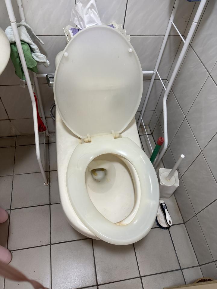 馬桶裝修案件圖片