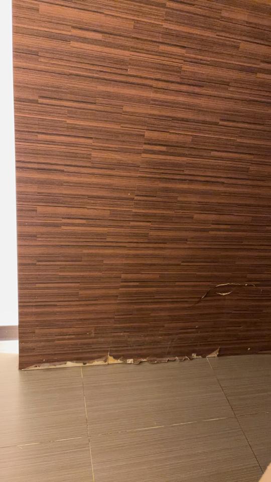 木工施工案件圖片