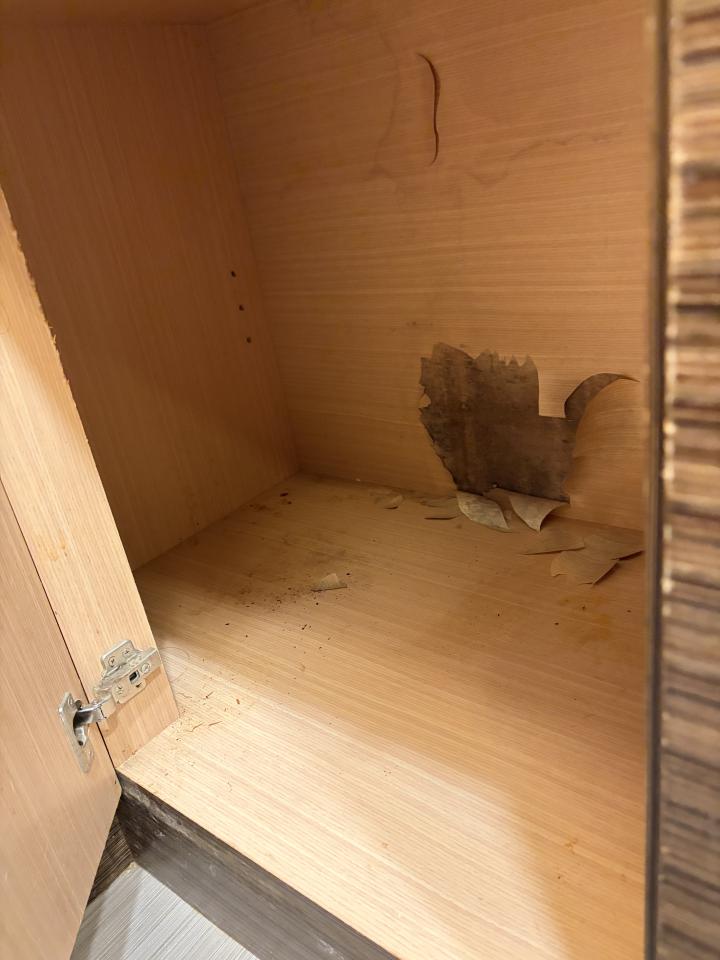 木工施工案件圖片