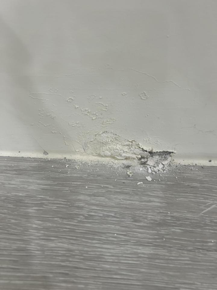 壁癌處理案件圖片