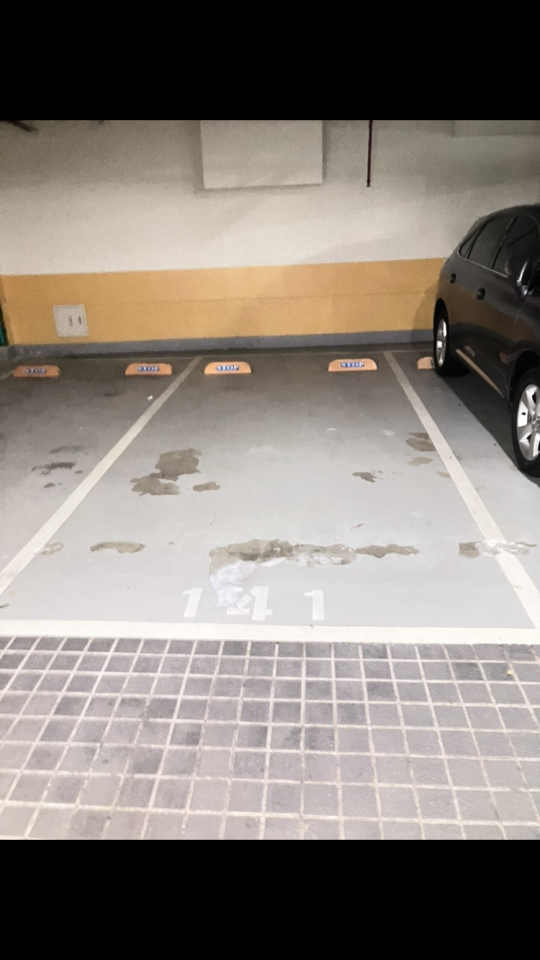 環氧樹脂地板案件圖片