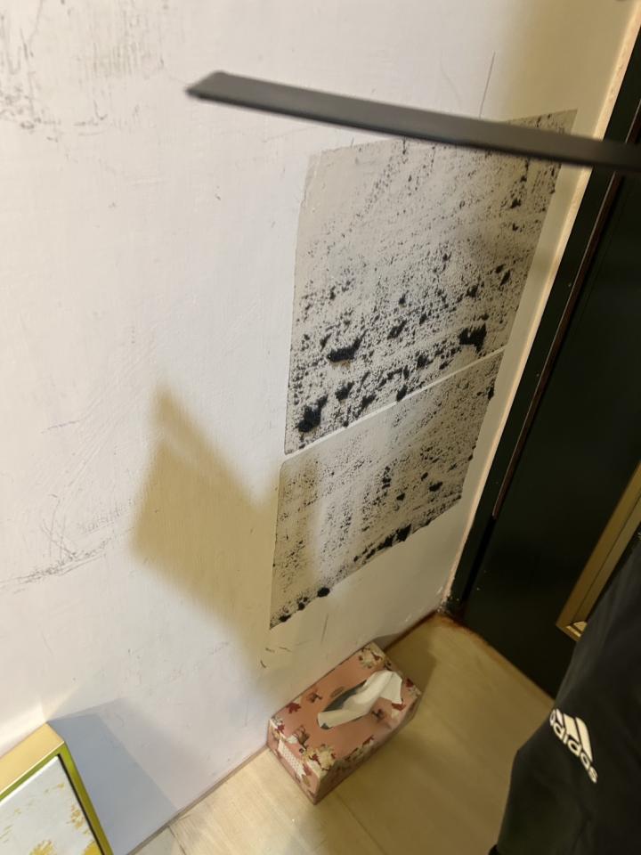 壁紙清除案件圖片