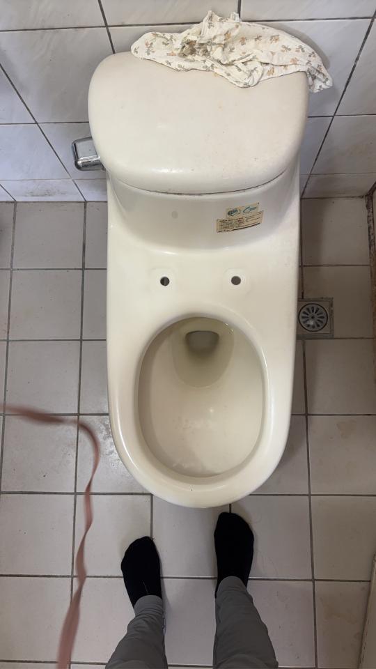 馬桶裝修案件圖片