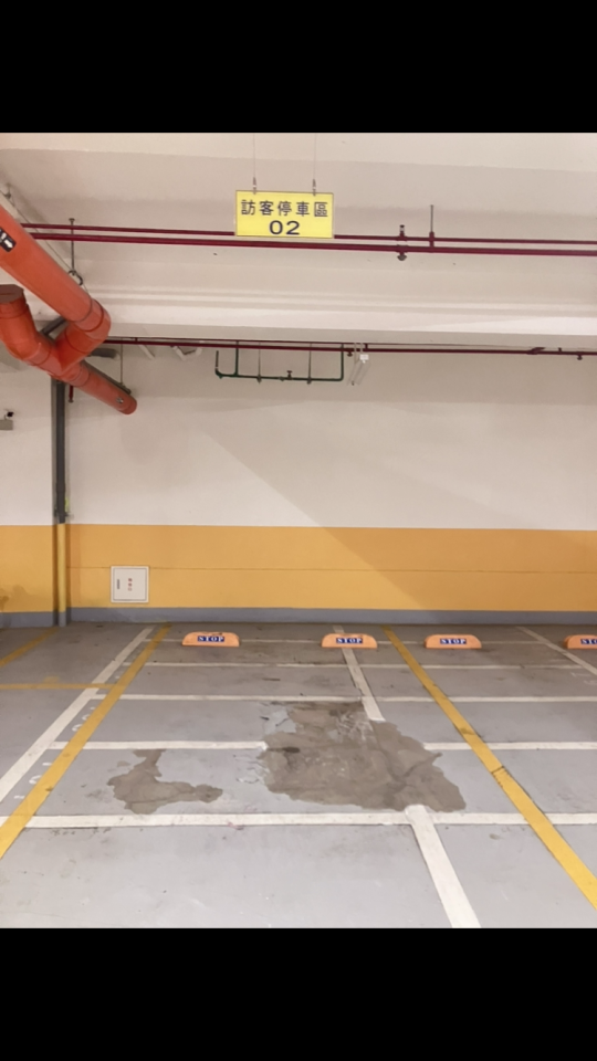 環氧樹脂地板案件圖片