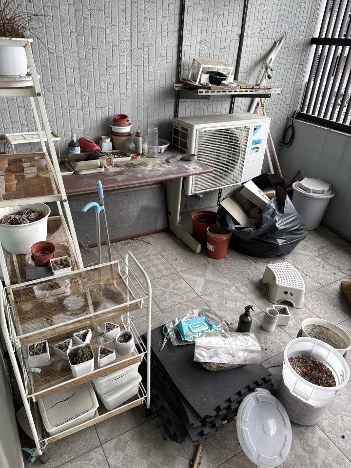 大型垃圾回收案件圖片