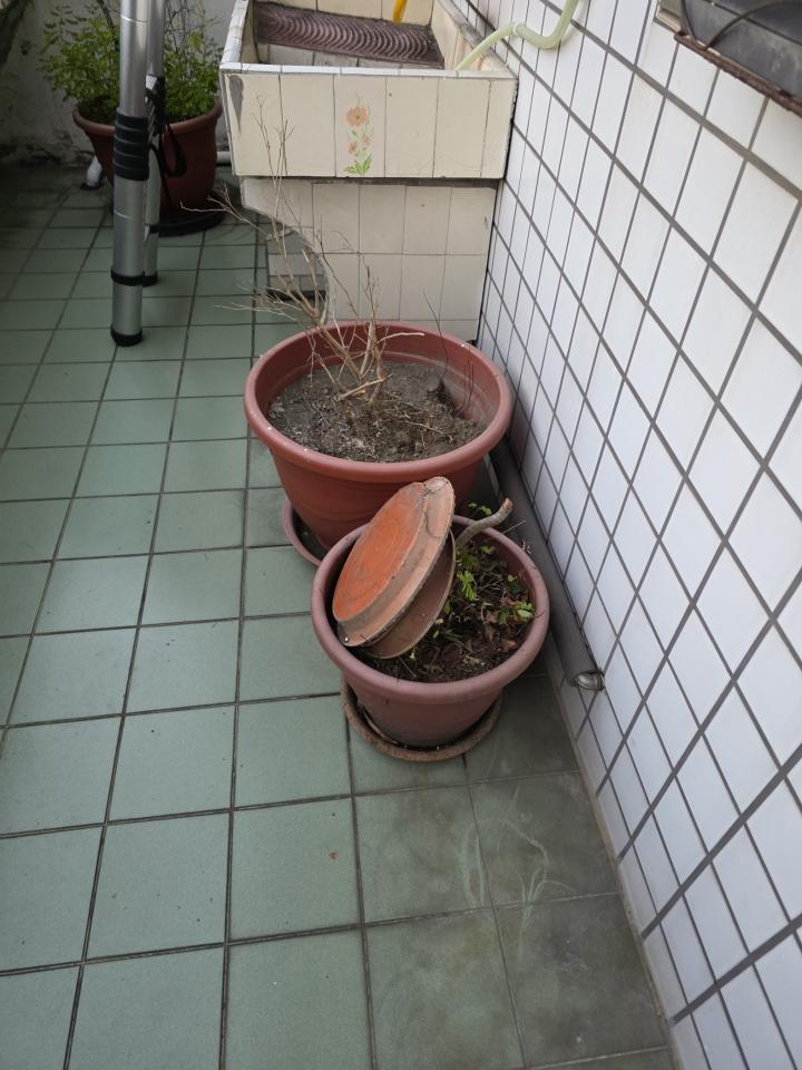 大型垃圾回收案件圖片