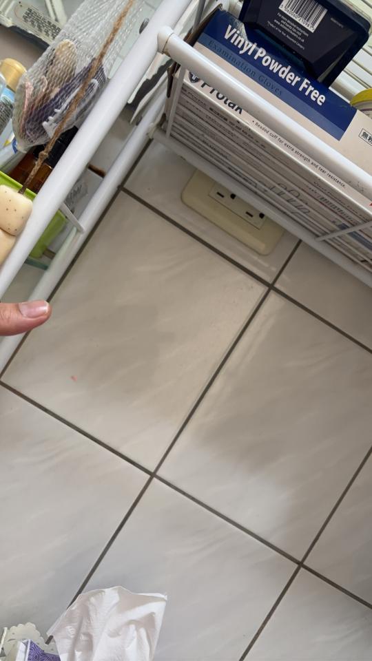 馬桶裝修案件圖片