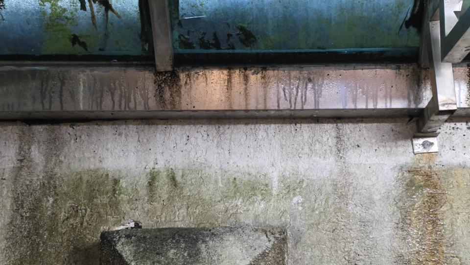 採光罩案件圖片