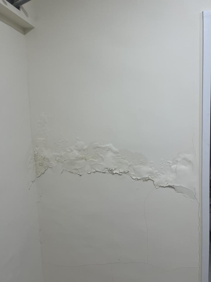 壁癌處理案件圖片