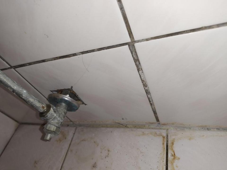 馬桶裝修案件圖片