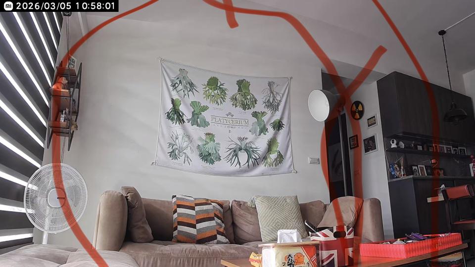 壁紙施工案件圖片