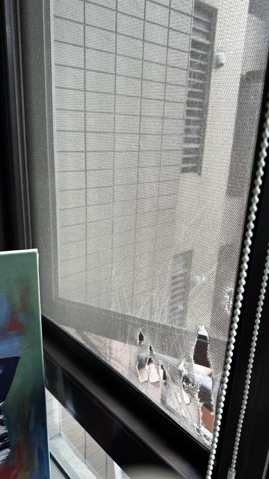 紗窗裝修案件圖片