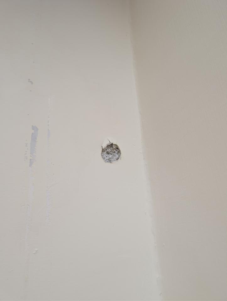 壁癌處理案件圖片