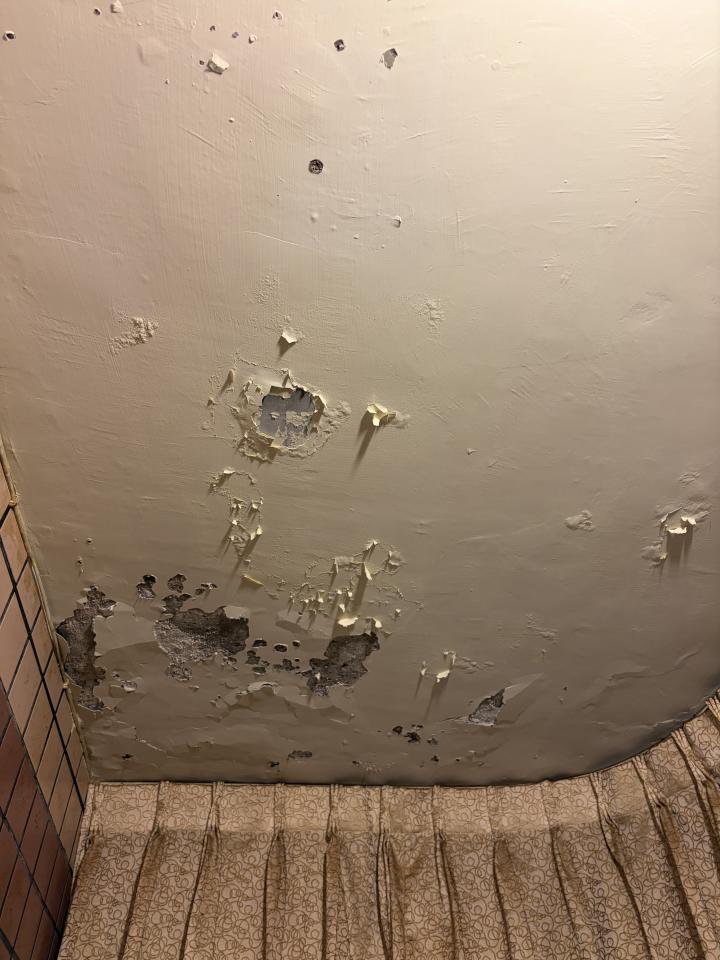 鋼筋外露處理案件圖片