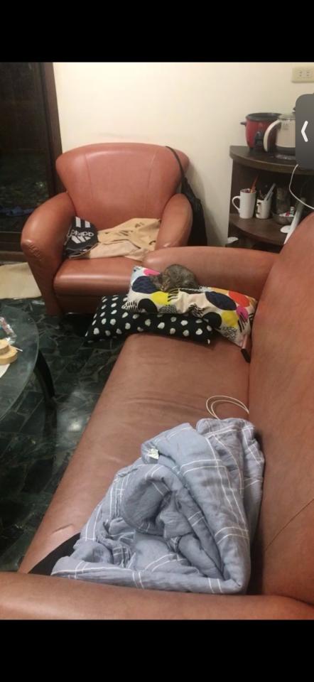 大型家具回收案件圖片