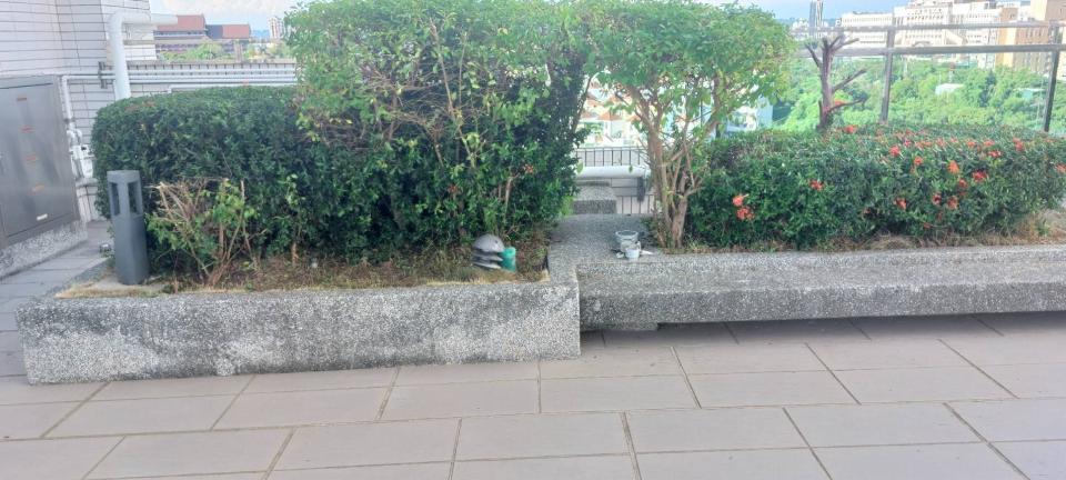 園藝維護案件圖片