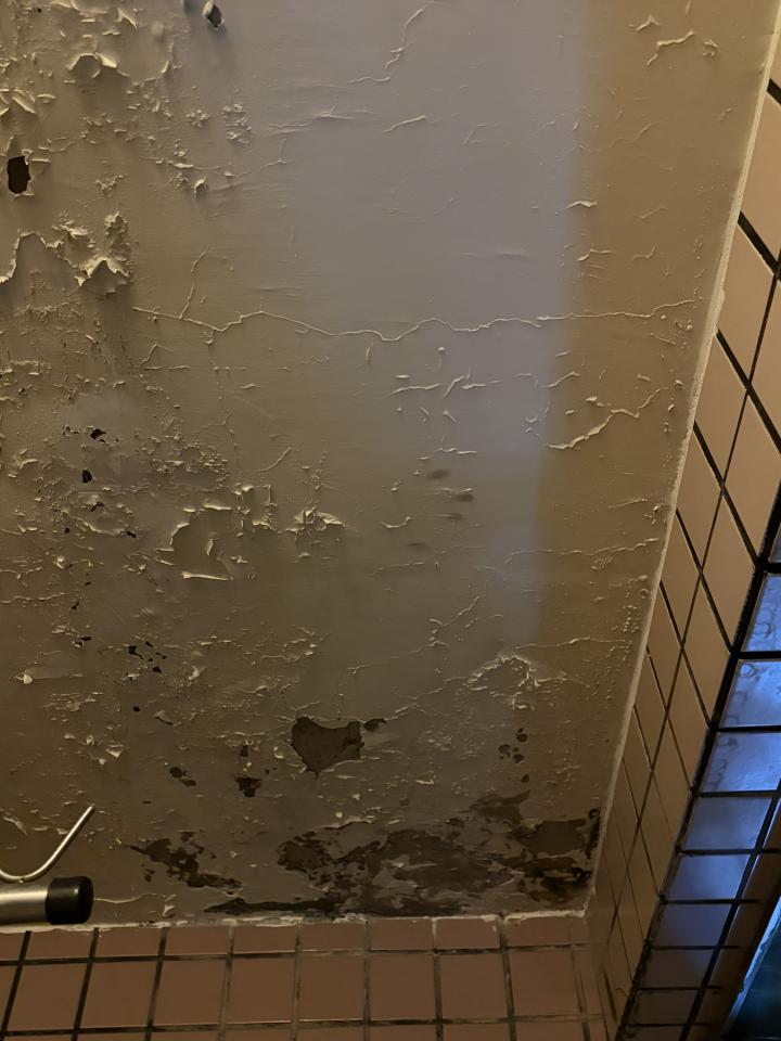 鋼筋外露處理案件圖片