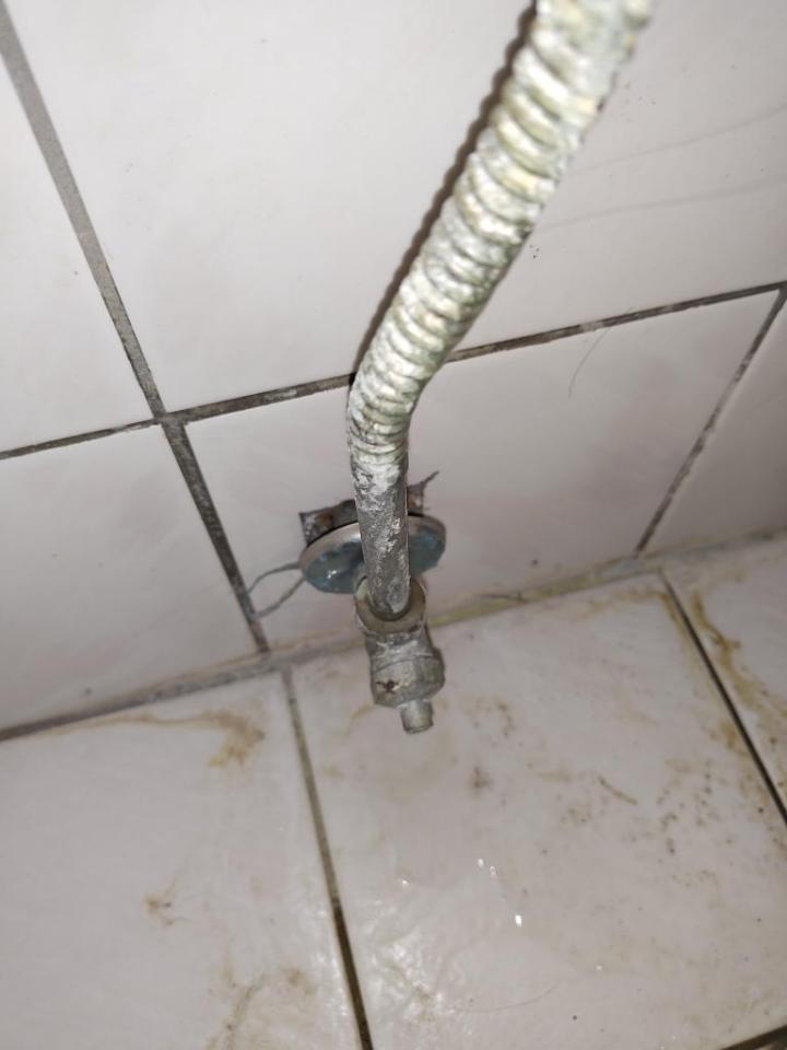 馬桶裝修案件圖片