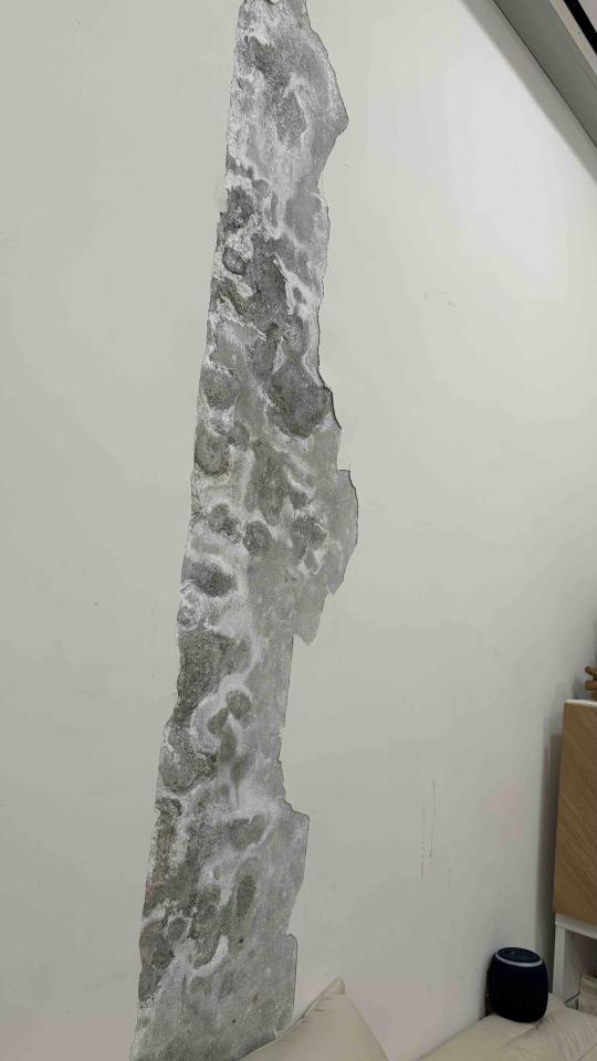 油漆工程案件圖片