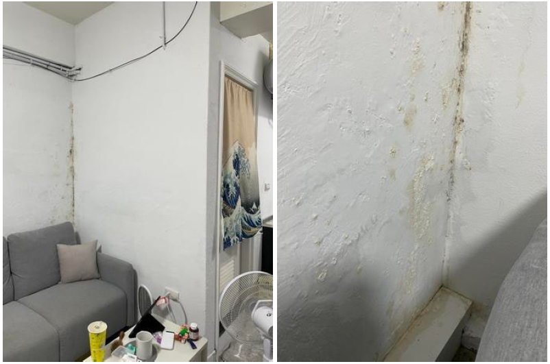 漏水處理案件圖片