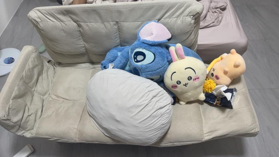 大型垃圾回收案件圖片