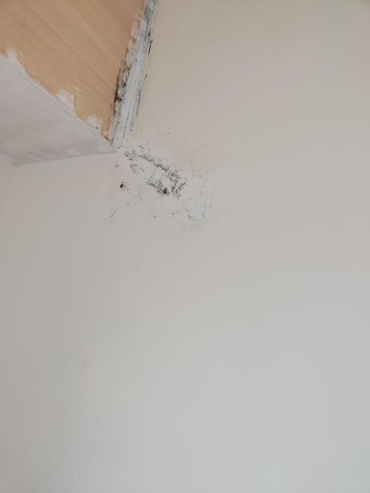 油漆工程案件圖片