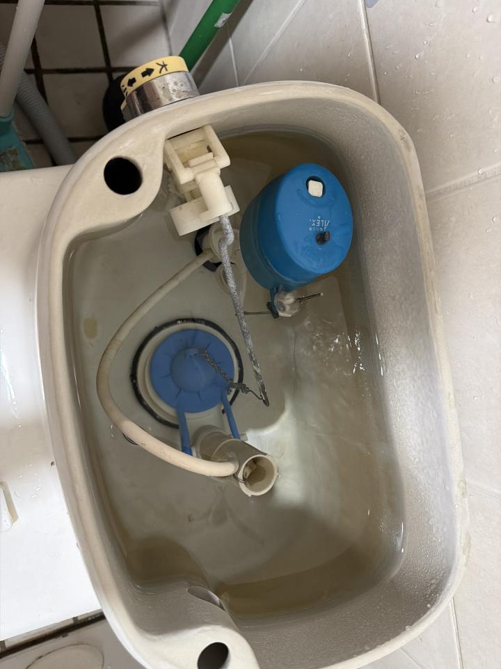 馬桶裝修案件圖片