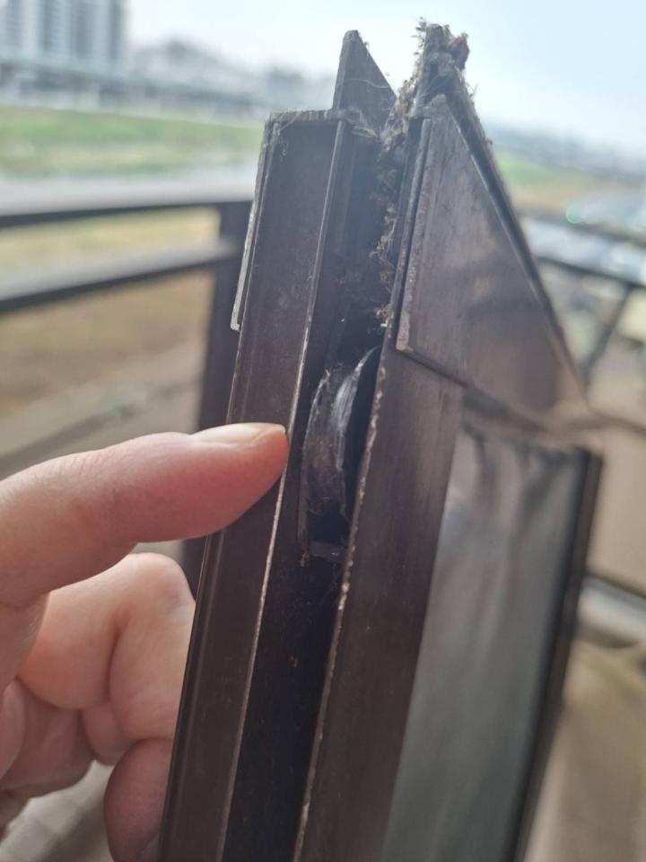 紗窗裝修案件圖片