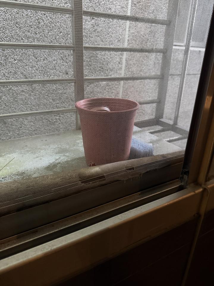 紗窗裝修案件圖片