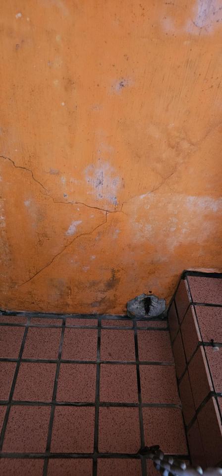 鋼筋外露處理案件圖片