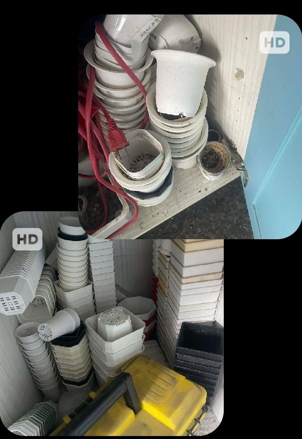 跑腿外送案件圖片