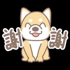 提供打字排版服務的專家光毅